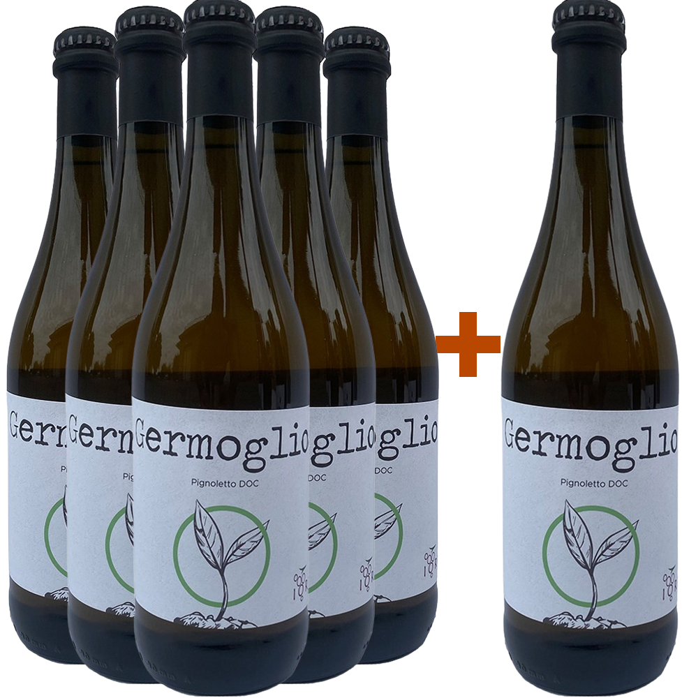 5+1 Paket Germoglio Pignoletto DOC