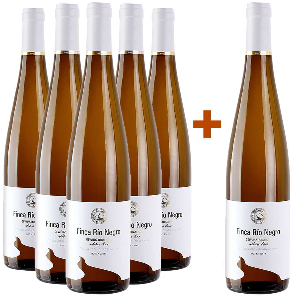 5+1 Aktionspaket Gewürztraminer Castilla VT BIO