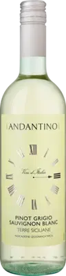 2023 Andantino Pinot Grigio Sauvignon Blanc