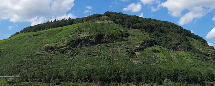Blesius-Jostock