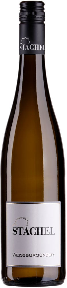 2025 Weißer Burgunder Kalkmergel Kirrweiler