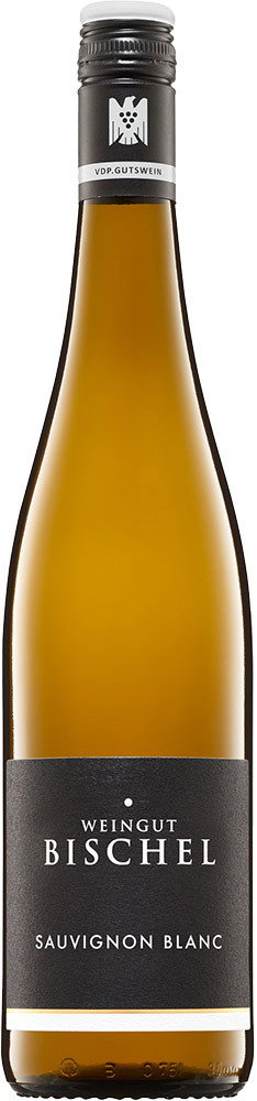 2025 Sauvignon Blanc BIO