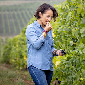 Vignobles Famille André Lurton