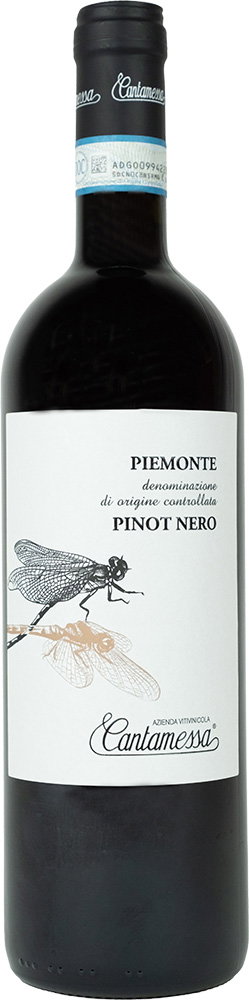 2024 Pinot Nero Piemonte DOC BIO
