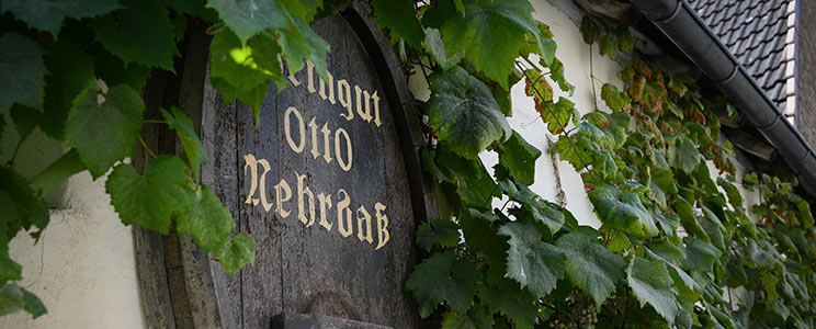 Nehrbaß