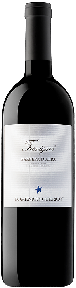 2022 Trevigne Barbera d'Alba DOC