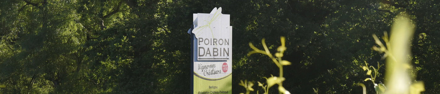 Poiron Dabin