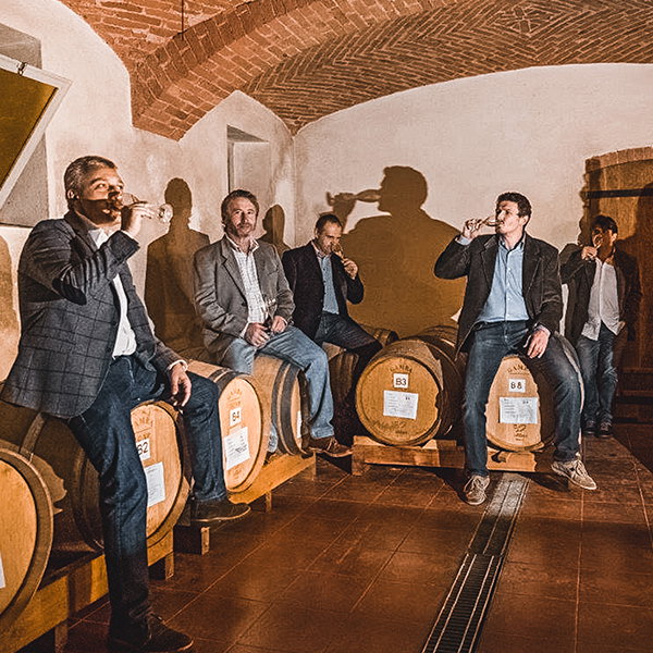 Alessandro Comotto & Co.