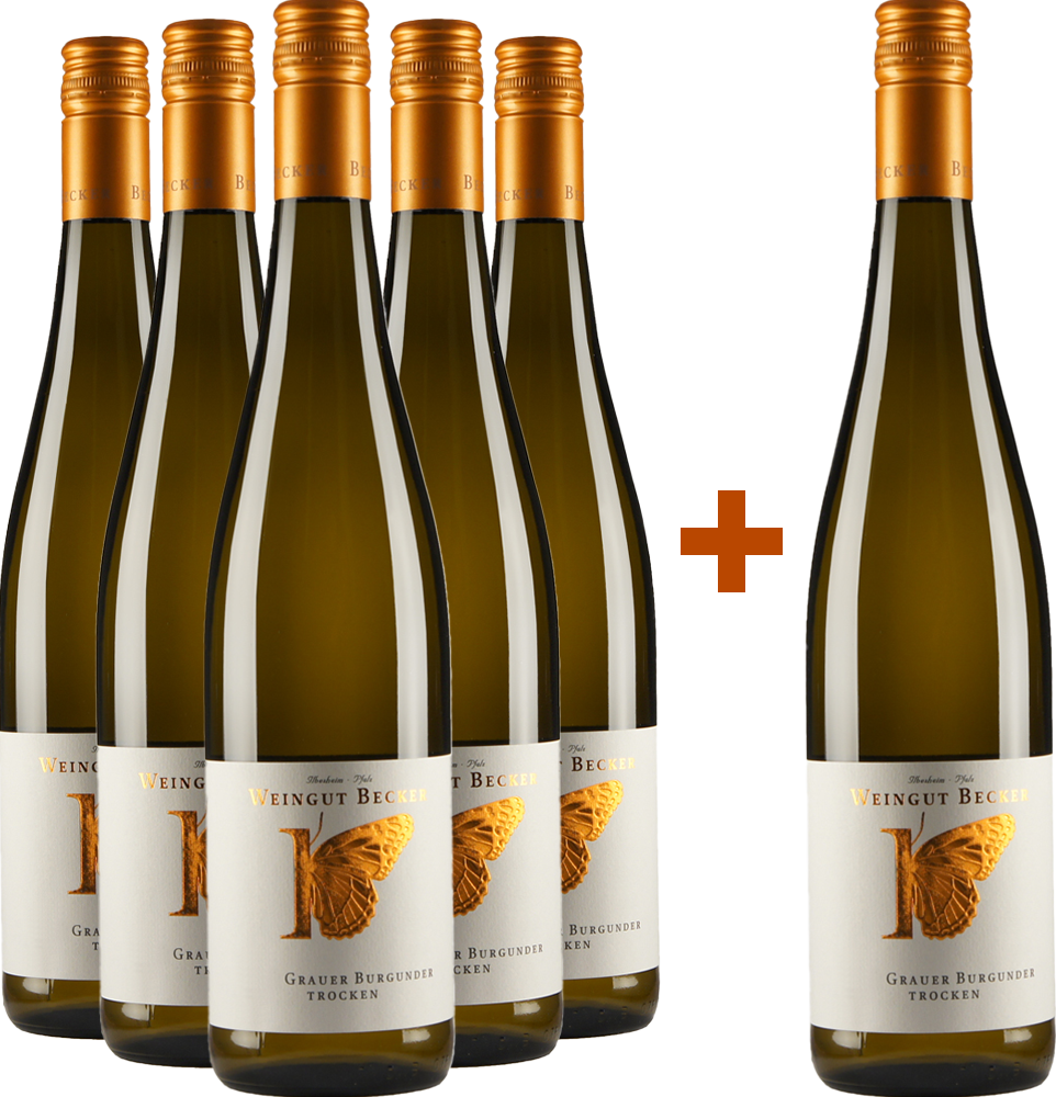 5+1 Paket Grauer Burgunder trocken BIO BIO