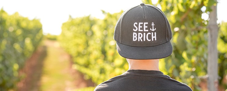 Seebrich
