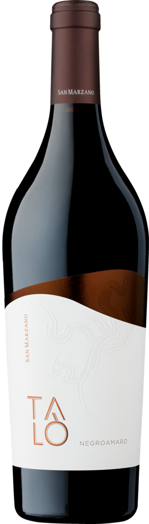 2024 Talò Negroamaro