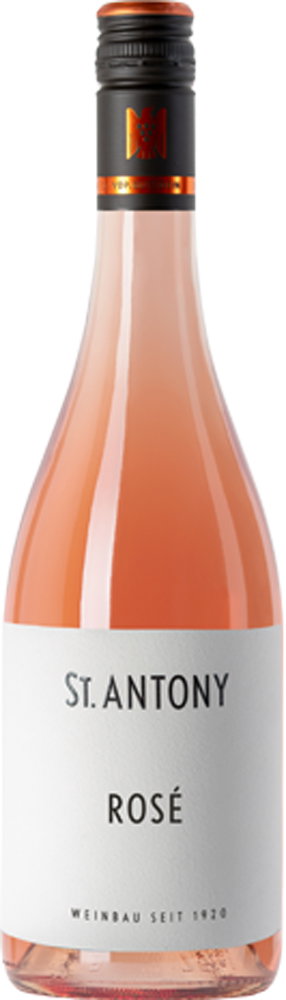 2025 Rosé BIO