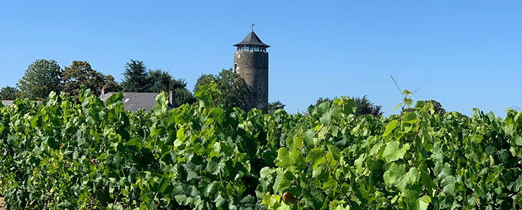 Asseray