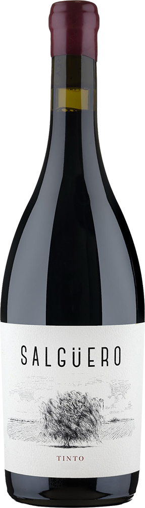 2018 Pradorey Salgüero Tinto