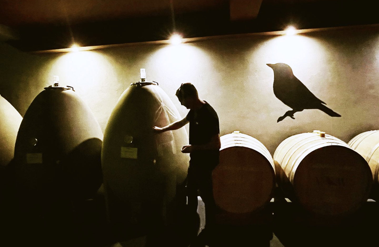 Zorzal Wines