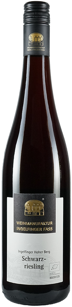 2023 Schwarzriesling BIO