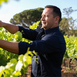 Domaine de Verchant