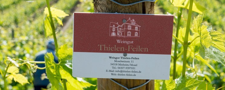 Thielen-Feilen