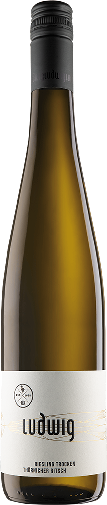 2023 Riesling 'shades of slate'