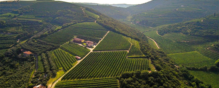 Il Monte Caro