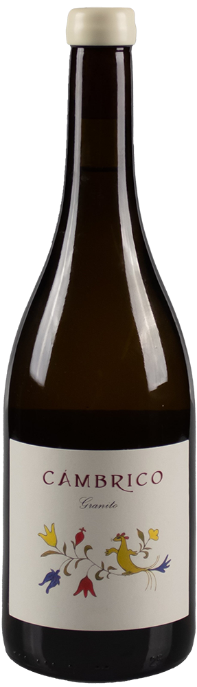 2021 Cámbrico Rufete Blanco Granito Sierra de Salamanca DOP BIO