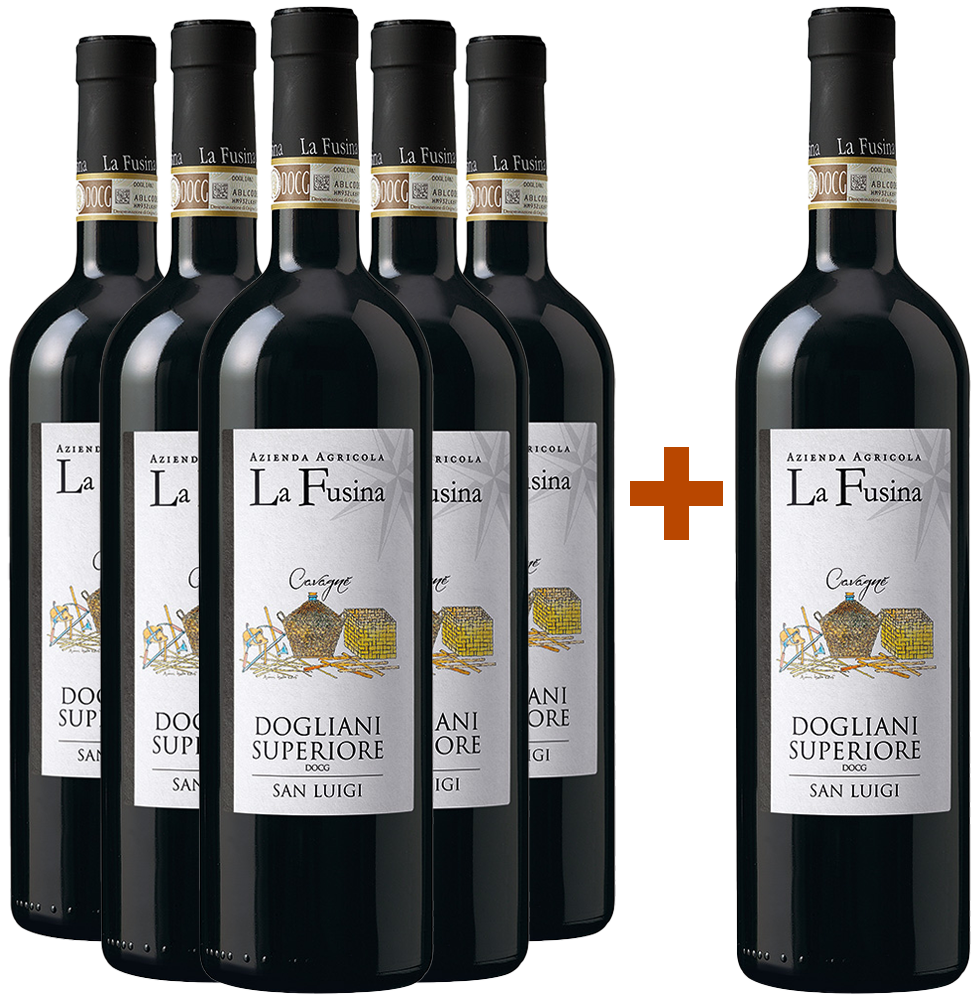 5+1 Paket San Luigi Cavagnè Dogliani Superiore DOCG
