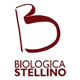 Stellino