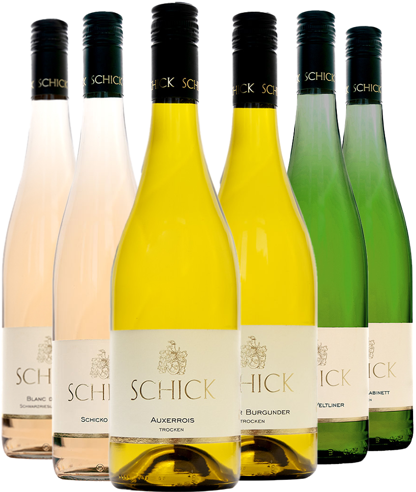 Kennenlern-Paket trocken BIO BIO