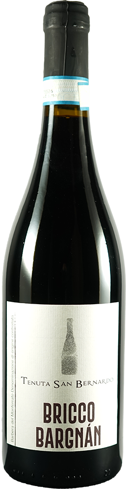 2023 Bricco Bargnàn Barbera del Monferrato DOC