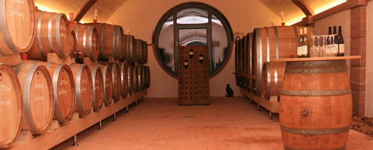 Helmstetter