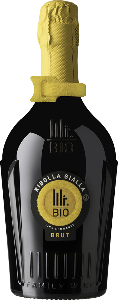 2022 Spumante Ribolla Gialla BIO