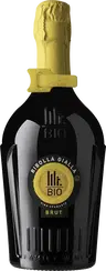 2022 Spumante Ribolla Gialla BIO