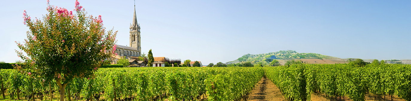 Französische Weinregion mit Weinbergen und Kirche im Hintergrund