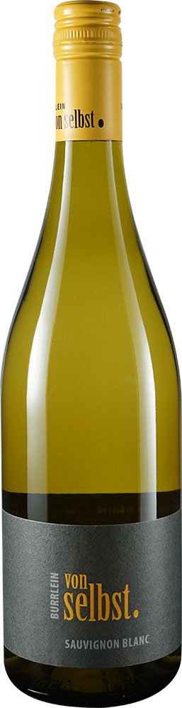 2024 von selbst. Sauvignon Blanc