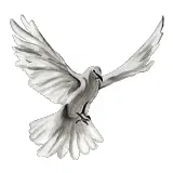 La Plume Blanche
