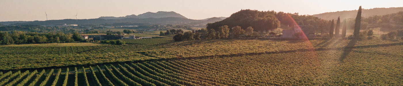 Cottini Marco