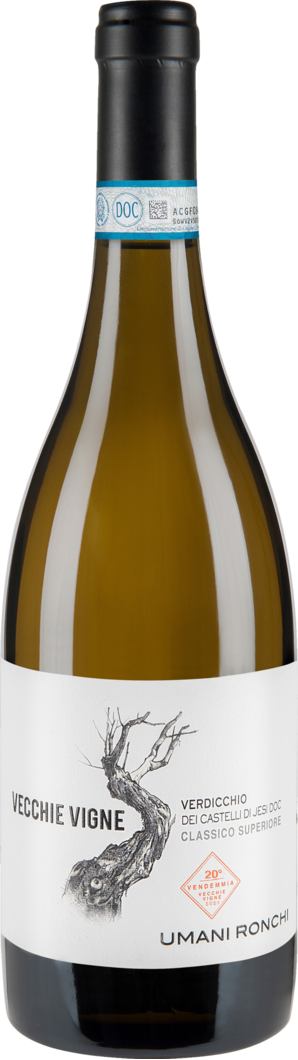 2021 Vecchie Vigne Verdicchio dei Castelli BIO