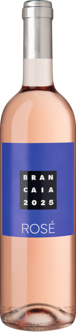 2025 Brancaia Rosé BIO