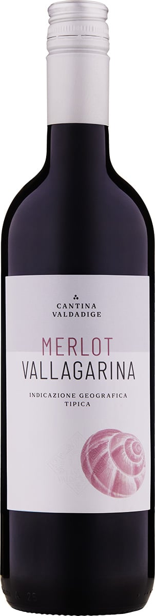 2024 Merlot Vallagarina IGT reflection