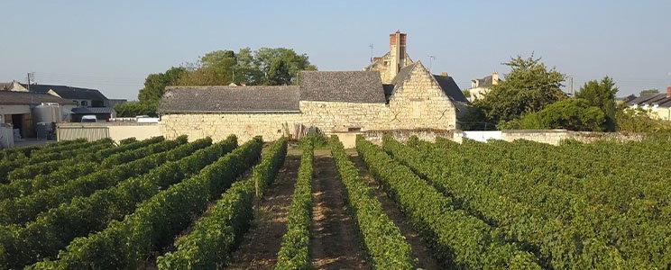 Domaine des Sanzay