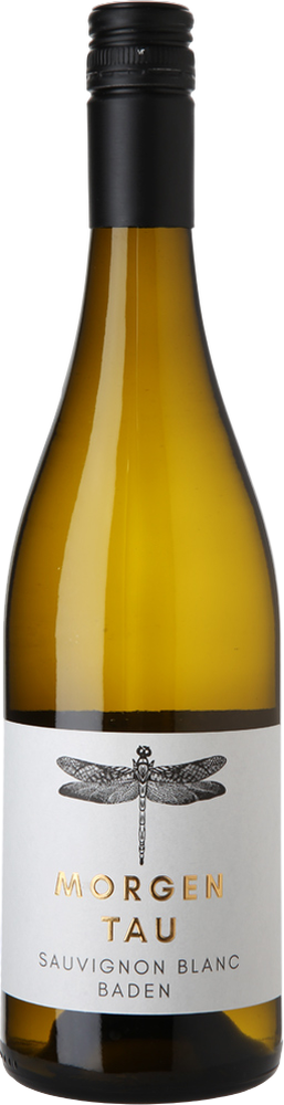 2025 Morgentau Sauvignon Blanc