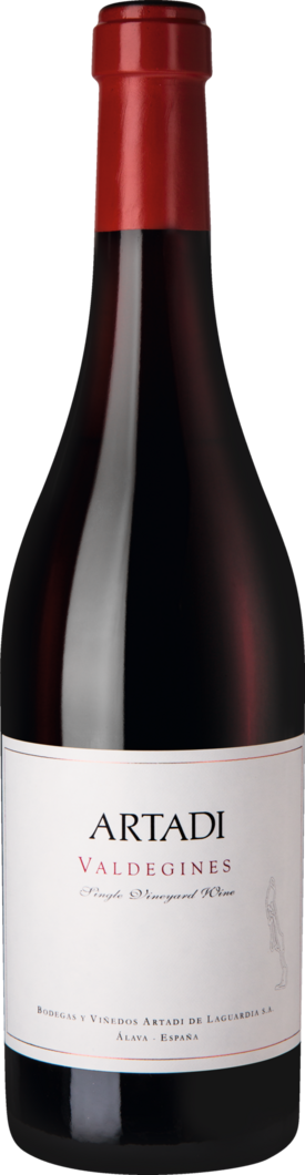 2016 Artadi Valdeginés Álava Vinos de Parcela BIO
