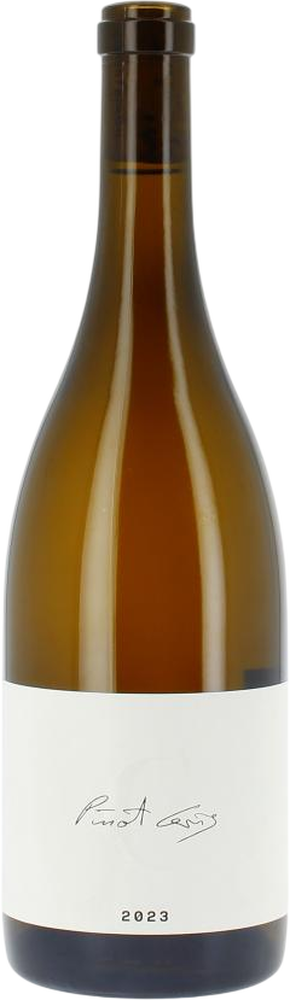 2023 PINOT GRIS | TERROIR