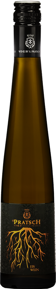 2024 Grüner Veltliner EISWEIN BIO 0,375 L reflection