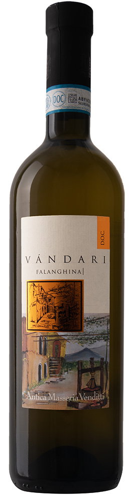 2024 Vàndari Falanghina del Sannio DOC BIO