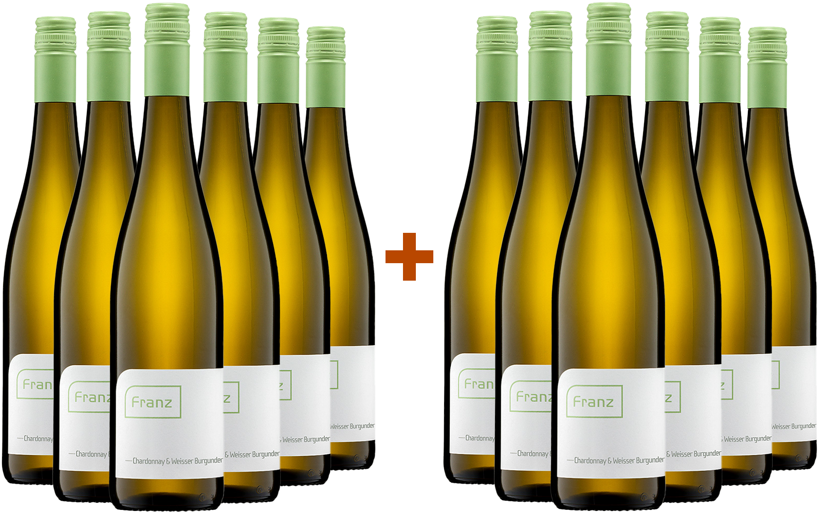 6+6 2024 Riesling trocken Biowein Bio BIO