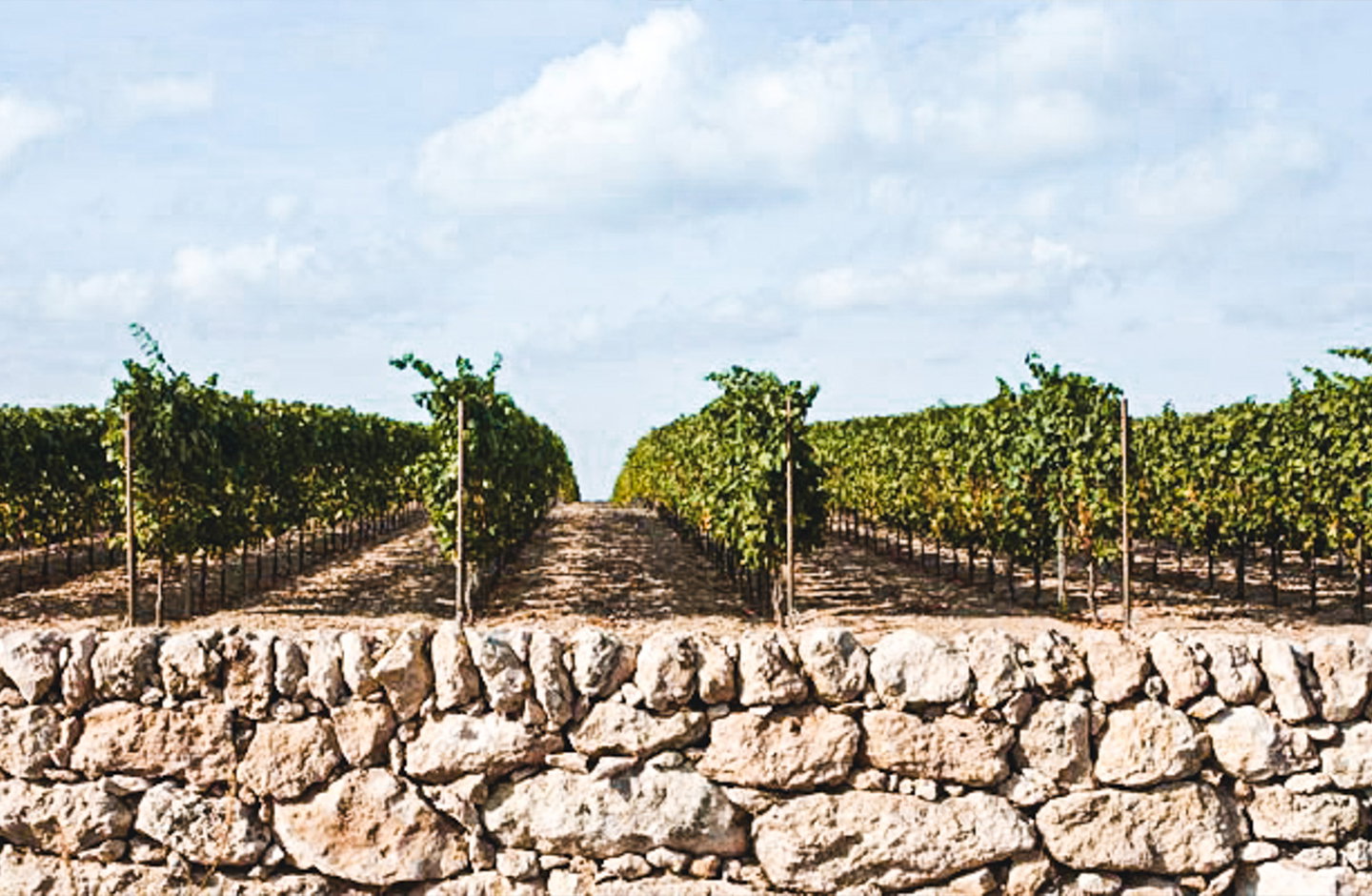 Masseria Capoforte