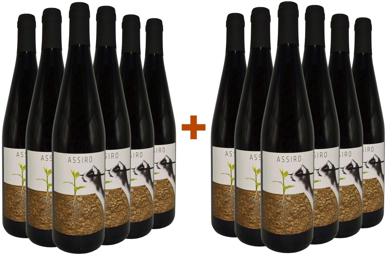 6+6 Paket Assiro Toscana IGP BIO