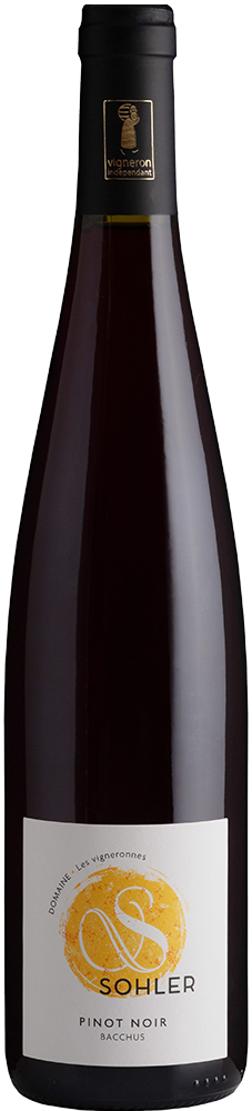 2025 Pinot Noir Alsace AOP BIO