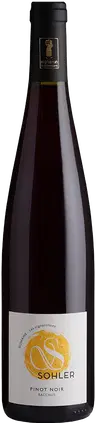 2025 Pinot Noir Alsace AOP BIO